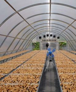 máy sấy hải sản công nghiệp