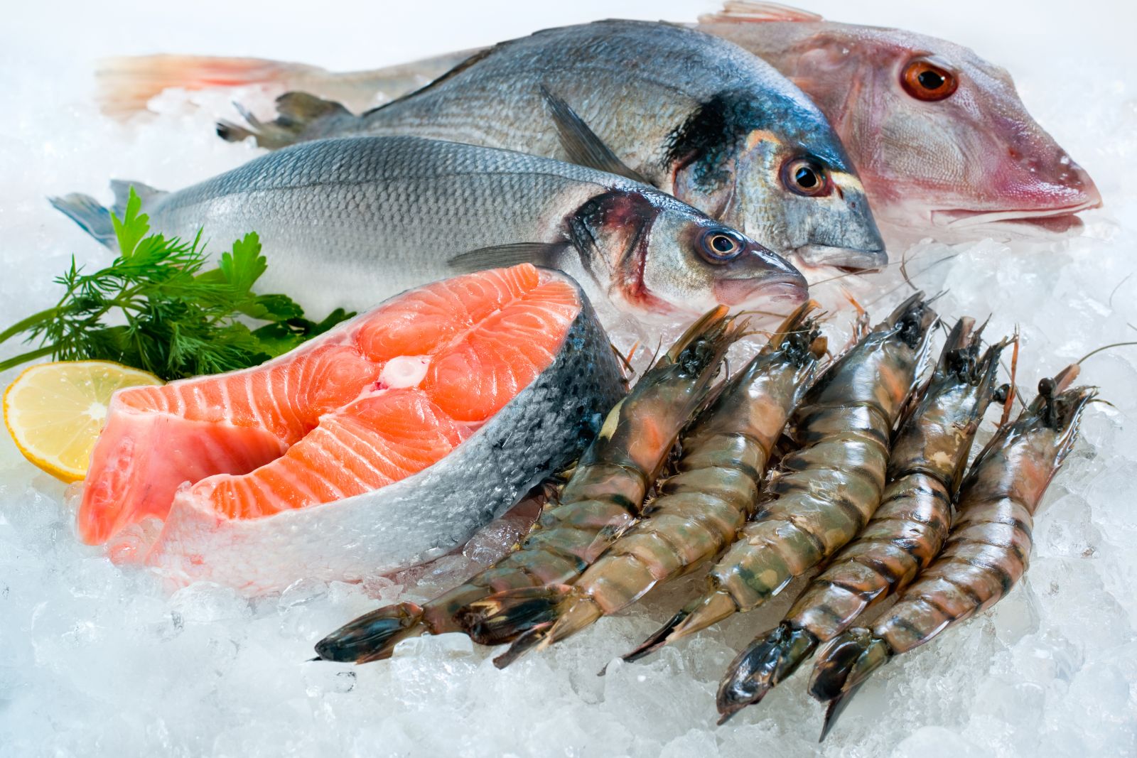 Có những loại hải sản nào được ưa chuộng khi hấp?
